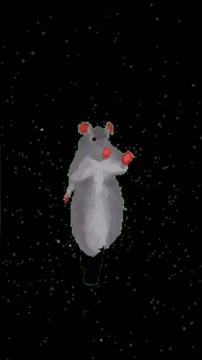 rat dance boom shakalaka boom shakalaka