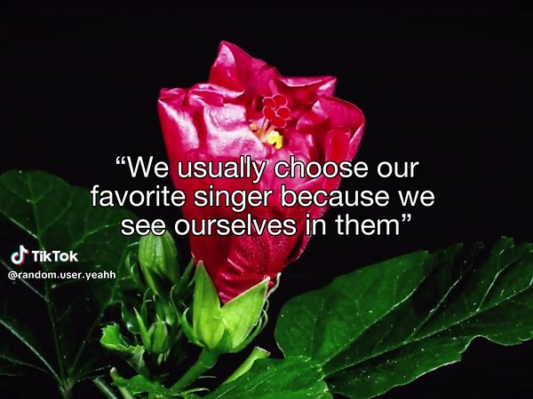 Malcolm Todd: Discover Your Favorite Artist