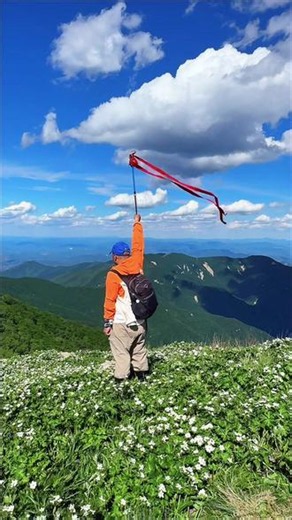 秦皇岛最大一片野生银莲花海，都山海拔1846.3米银莲花如期绽放！#山花烂漫正当时 #治愈系风景