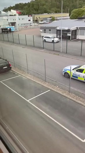 #police #funnyreels #frenchie #car #funnyvideos | Ticket For One