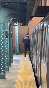 2 Cops Per Train After 9PM 🙌🏻 #NYCSubway #NYC #MTA #NewYorkCitySubway #LIRR #SubwayTrain #NewYork #NewYorkCity | NYC Subway Life