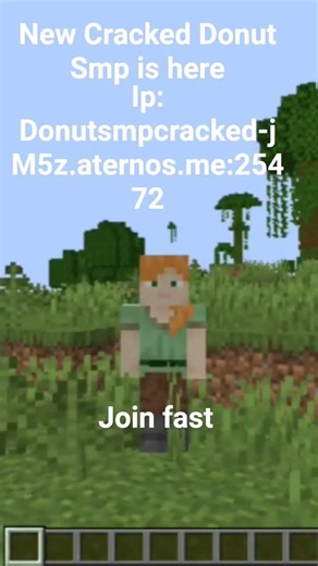 Donut smp cracked