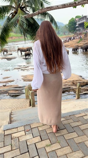 Exploring Pinnawala Elephant Orphanage in Sri Lanka