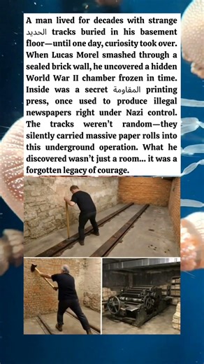 Basement Tracks Hid a War Secret for 40 Years