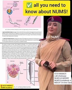 7.1K views · 65 reactions | 10 most basic things you need to know...