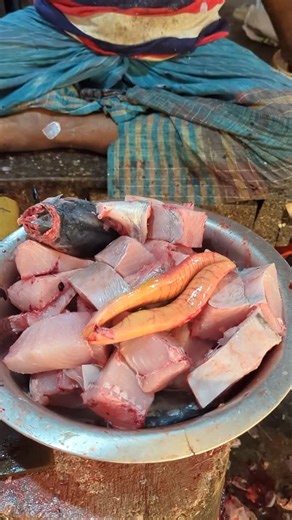 Fish_cutter Master on Instagram: "doublespotted queenfish🐟 The doublespotted queenfish (Scomberoides lysan) is a tropical game fish in family Carangidae (jacks). It is associated with reefs and ranges widely throughout the Indian and Pacific Oceans. Other common names for this fish are giant dart, large-mouthed leatherskin, leatherskin, queenfish, skinny fish, skinnyfish, St. Peter’s leatherskin, white fish or whitefish.[3] イケカツオ（生鰹, Ikekatsuo）is in Japanese. . . . . . . . . . . . . . . 