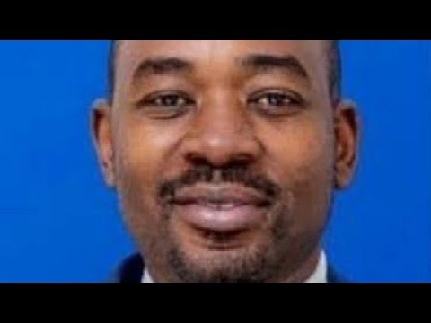 A ZANU PF activists file a court application to stop political operations of Nelson Chamisa.