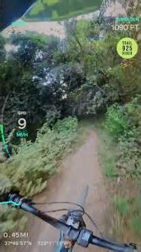 MTB at Joaquin Miller Park | Riding Cinderella, Big Trees & More!