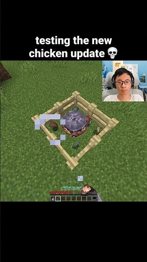 Minecraft Chicken Moment
