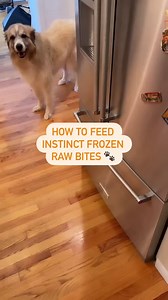 Raw feeding made easy with Instinct Raw. Just scoop and serve! - Frozen Raw Meals for dogs: https://instinctpetfood.com/dog/frozen-raw-meals/ - Frozen Raw Meals for cats: https://instinctpetfood.com/cat/frozen-raw-meals/ | Instinct