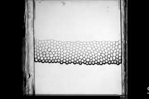 Researchers in France recently delved into one of life’s fundamental questions: Why are lattes less likely to spill than regular coffee? | Science News Magazine