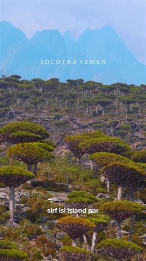 This Is The Most ALIEN Place On Earth 😱