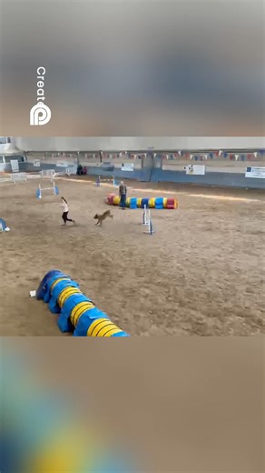 Championne de France Junior U12 — Make me Crazy des 2 Sabres 🏆