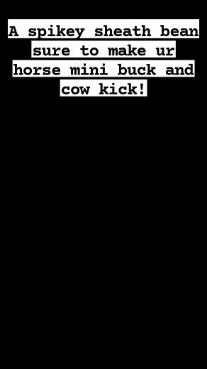 This is from a pony's sheath and it looks like a tooth with a root. Sure to cause bucking in some equines!!! | Sheath Hygienist Ulster