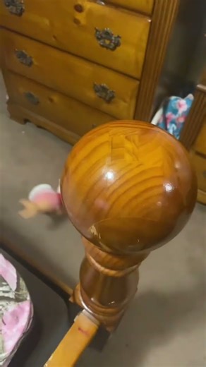 How to raise Shrimpo😑🍤