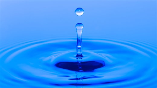 Is water wet? Settling debates that went viral on social media.