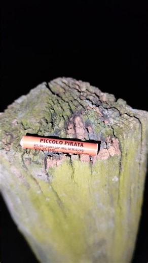 Door No. 23. Buffalo Piccolo Pirata P1 #pyroisnocrime #fireworksconnect #adventcalendar #foryou