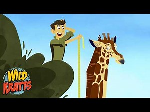 Why do giraffes have long necks? | Animals for Kids | Wild Kratts