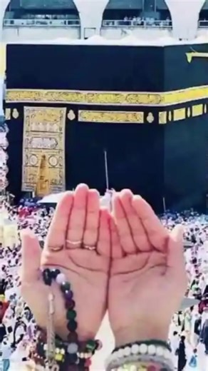 Teapoo Jutt (@teapoo.jutt1)’s videos with original sound - GulzarAhmad