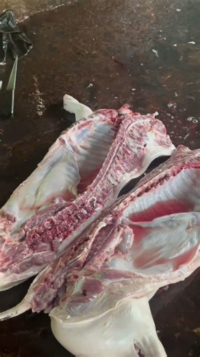Professional Butcher Skills | Traditional Market Meat Processing