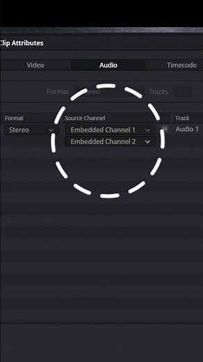 FIX Audio Only Coming Out of the Left Speaker - Davinci Resolve
