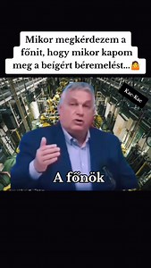 Aha. Oké.🫤👍 Kac-Kac | Kac-Kac