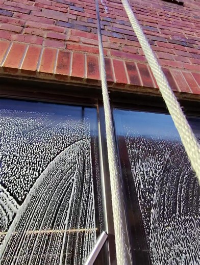 Expert High Rise Window Washing Techniques