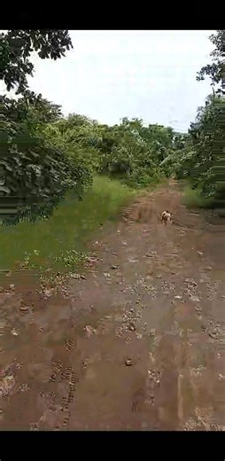 Liezel Meyor on Reels | Facebook