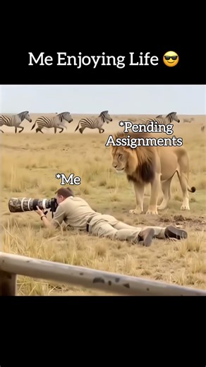 No more pending assignments! ✅ Choose real experts at EssaysUK for A+ assignment support! #studytok