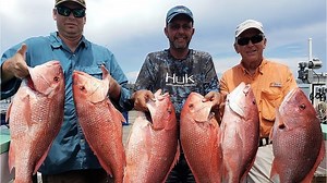 Red snapper rodeo: The mini-season for snapper is here; Be courteous and ethical
