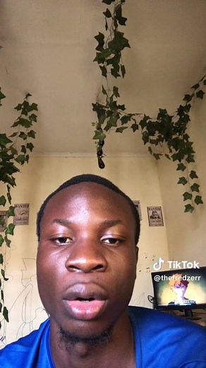 Les Meilleurs Dessins Animés de Tiji dans les Années 2000