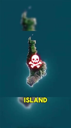 The Island Full of Snakes