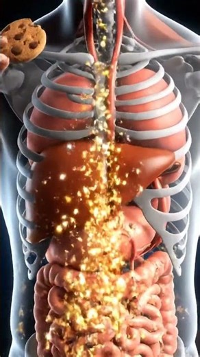 What Happens When You Eat Packaged Cookies #healthyliving #facts #fatburningsecrets