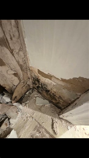 Emergency Basement Mold Removal NYC | Burst Pipe Water Damage & Mold Remediation Brooklyn #mold