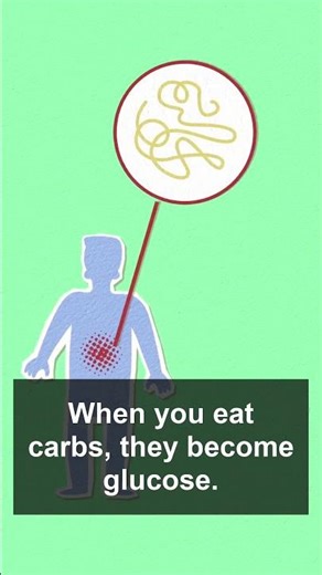 What Carbs Really Do Inside Your Body Explained