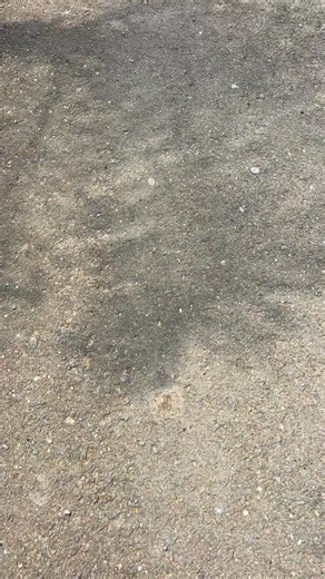 Casa 💛 | BARCELONA SPORTING CLUB - Página oficial