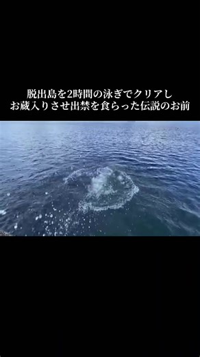 カシコchの脱出島チャレンジと水泳技術