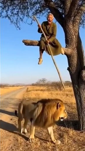 Lion attacking On human 🥵 #action #avenger #lion #beastmode #beastmode #superherofigh