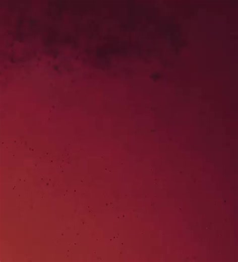 collagenelixir_at on TikTok