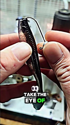 Easy Way To Rig A Swimbait #fishing #bassfishing #shorts