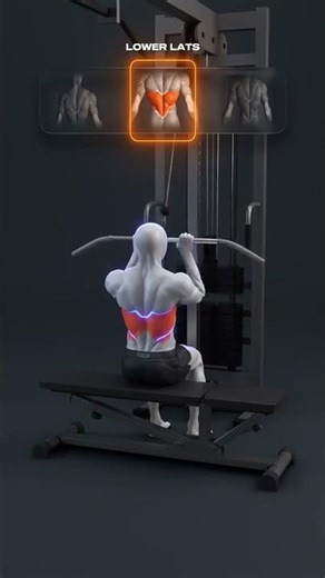 Fitness Zone 3D Animation 🔥 | Ultimate 3D Workout Visual #3DFitness #3DWorkout