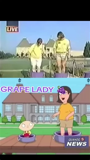 Grape Lady #grapelady #familyguy #thegrapelady #fall #fail