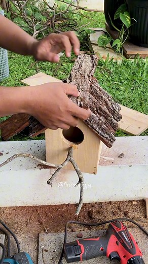 Building a natural wooden nest box with real bark panels for a more natural and comfortable look. Simple materials but the result feels closer to a real forest home for small finches. #Finch #BirdNest #AviaryLife #DIYBirdHouse #HighCPMVideo #fblifestyle | Indra Prihantoro