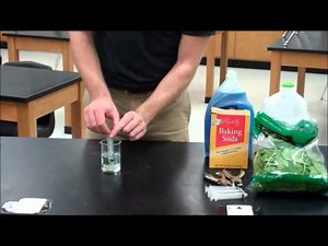 Floating Leaf Disc Assay