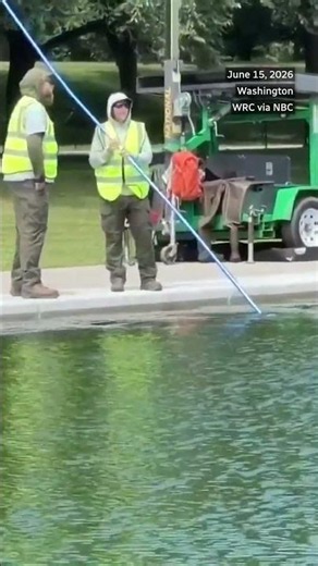 Reflecting pool turns green after Trump's $14M US renovations