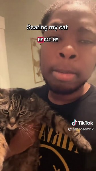 #thechosen112 #fypage #cat #funny | cat