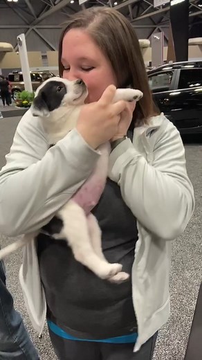 Rescue K-911 on TikTok