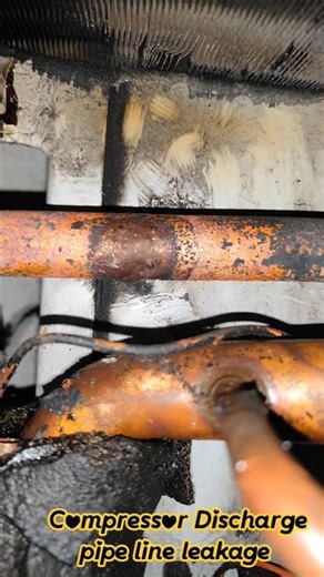 Carrier Reefer Container Compressor Discharge pipe line leakage 😜 #reefer