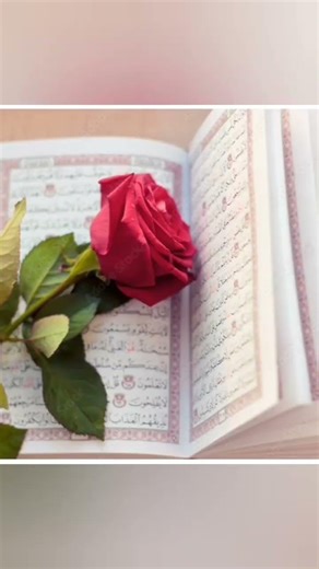 a allah jindagi me jab maut ka waqt aye n to hame kalme ka taufiq ata farmana