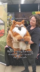 10K views · 1.8K reactions | I couldn’t go past this trend, the owlbears are all fluff and no brain lol A few people have complained that I’m ‘milking’ content from them but considering each of these fluff nuggets take me a whole months work to create I think I’m in my rights to share them as much as I want. #art #fantasyart #artist #puppet #owlbearpuppet #owlbear #fantasy | Darkwood Fantasy Creatures | Facebook